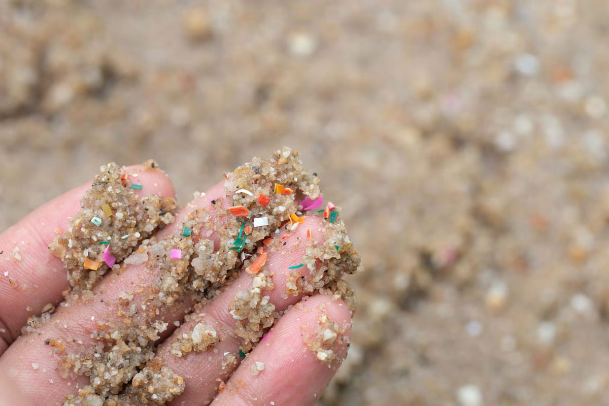 Ground Walnut Shell vs. Microplastic Exfoliants: What's Actually in Your Soap